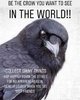 Are-you-crow-enough.jpg