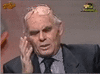 FocusedAchingKestrel-small.gif