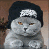 avatar54549_2.gif