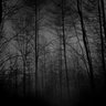 PaganFears93