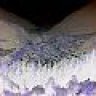 DeathAmphetamine
