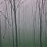 NoCtUrN