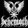 -Legend-