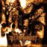 Obscura1991