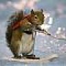 RATATOSKR