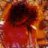 Joe Perry 90
